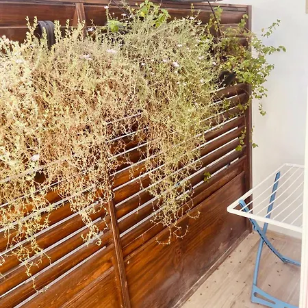 Bonaventura-2